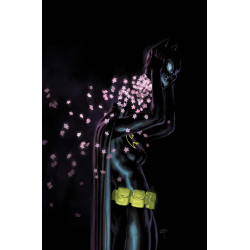 BATGIRL 22 CVR A DAVID TALASKI
