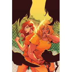 BARBARA GORDON BREAKOUT 4 CVR A KARL KERSCHL