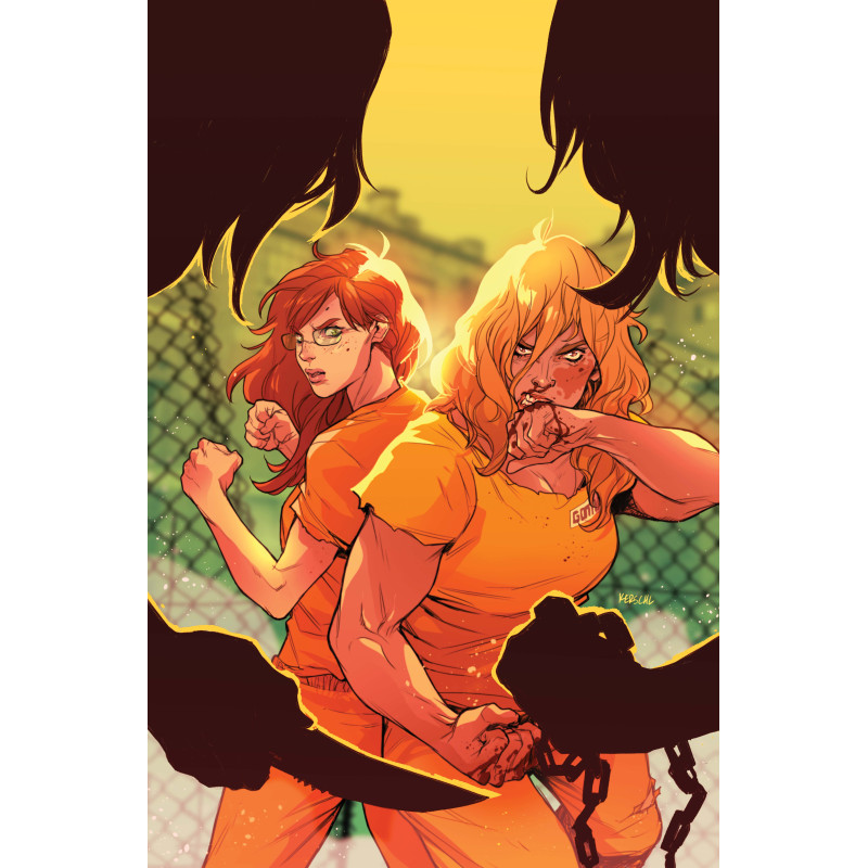 BARBARA GORDON BREAKOUT 4 CVR A KARL KERSCHL