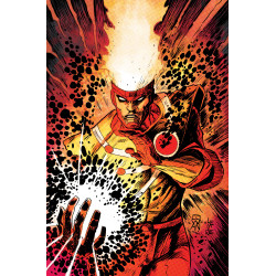 FURY OF FIRESTORM 5 (OF 8) CVR B DENYS COWAN & JEFF LEMIRE CARD STOCK VAR