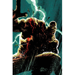ABSOLUTE GREEN ARROW 4 (OF 6) CVR A RAFAEL ALBUQUERQUE