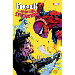 PUNISHER VS. SPIDER-MAN 2