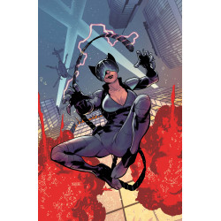 ABSOLUTE CATWOMAN 3 (OF 6) CVR C MAHMUD ASRAR CARD STOCK VAR