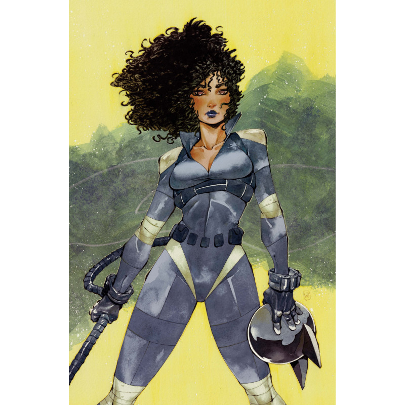 ABSOLUTE CATWOMAN 3 (OF 6) CVR D CHUMA HILL CARD STOCK VAR
