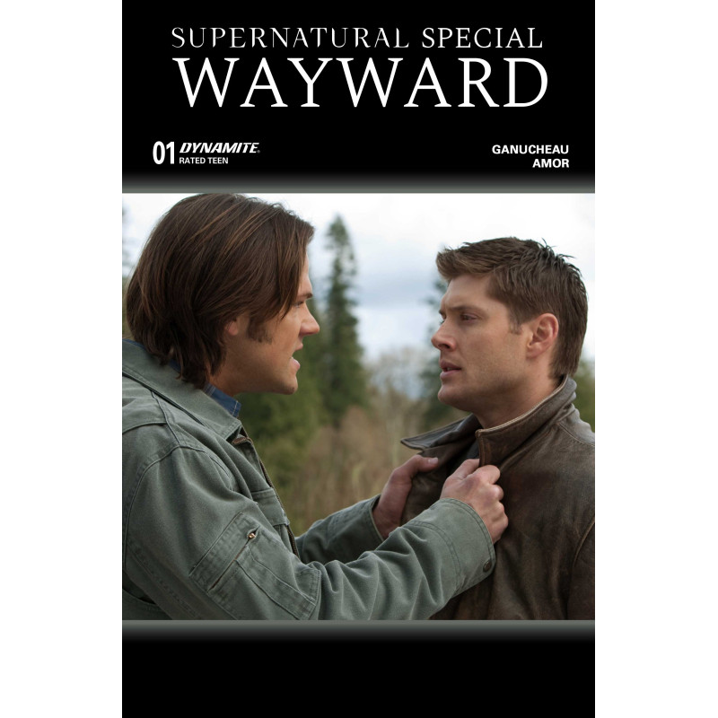 SUPERNATURAL WAYWARD SPECIAL 1 (ONE SHOT) CVR C PHOTO 2 VAR