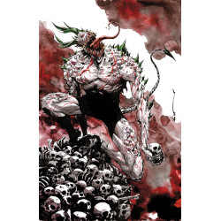 ABSOLUTE BATMAN BEYOND ARK-M 1 (ONE SHOT) CVR B DUSTIN NGUYEN CARD STOCK VAR