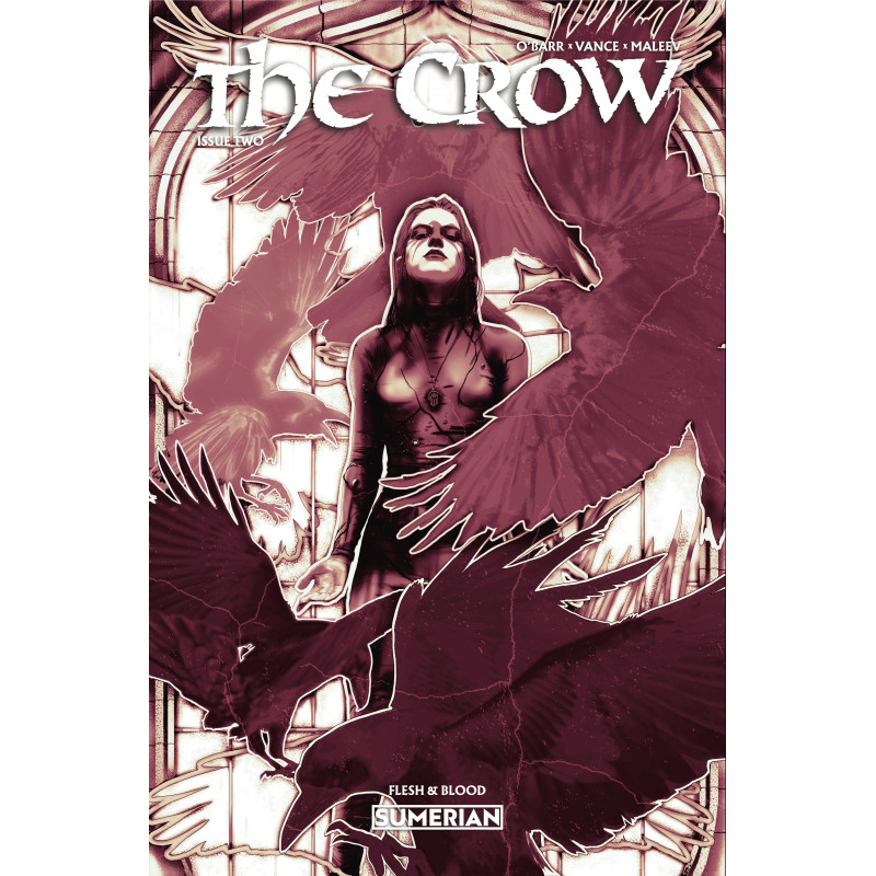 CROW FLESH AND BLOOD 2 CVR A LUCAS PEVERILL (MR)