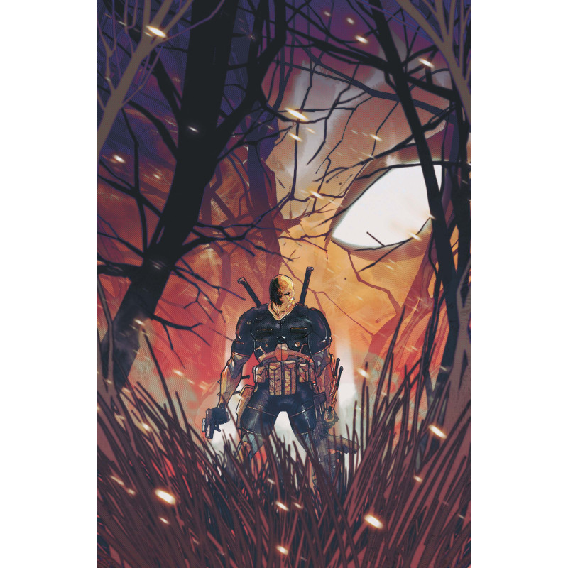 DEATHSTROKE THE TERMINATOR 9 CVR A CARMINE DI GIANDOMENICO