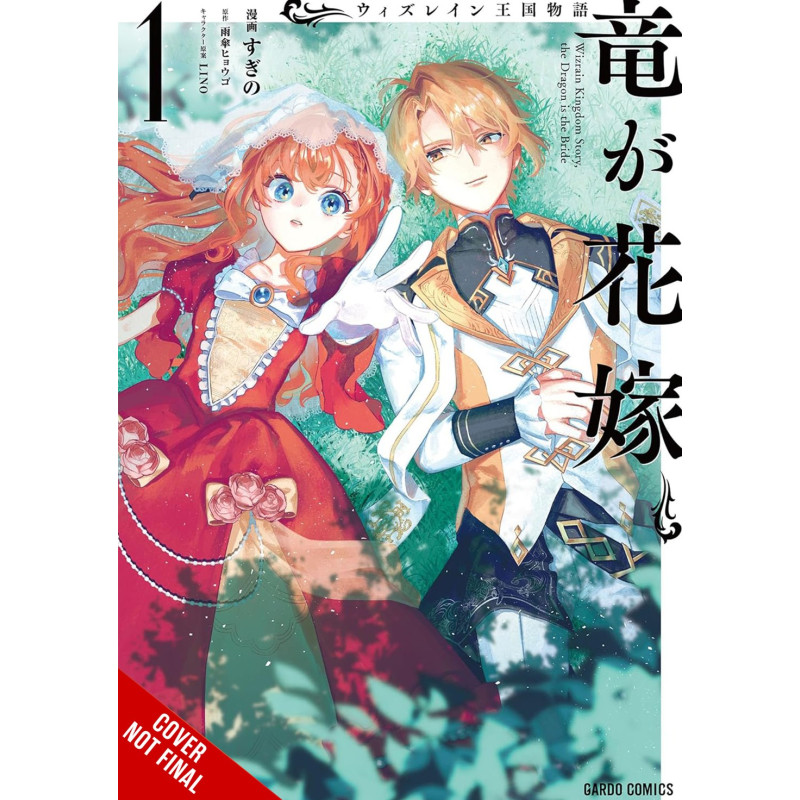 TALE OF THE WIZRAIN KINGDOM THE DRAGON IS THE BRIDE TP VOL 01