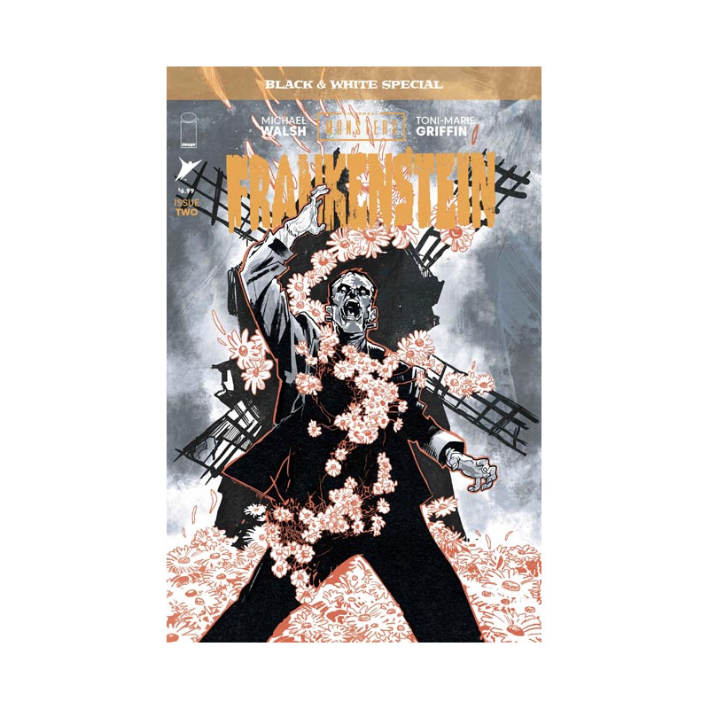 UNIVERSAL MONSTERS FRANKENSTEIN B&W SPECIAL 2 (OF 2) CVR A MICHAEL WALSH