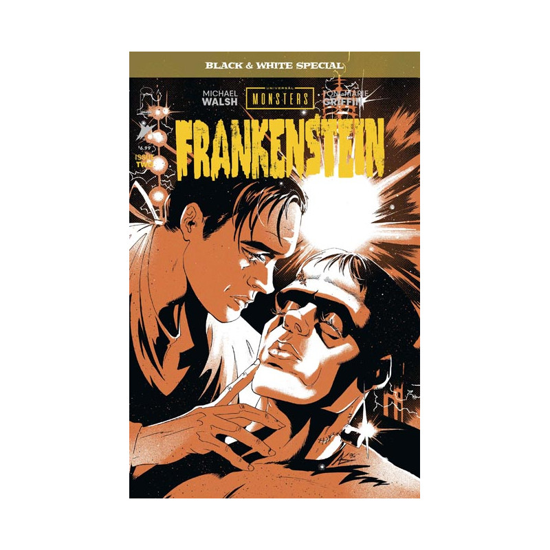 UNIVERSAL MONSTERS FRANKENSTEIN B&W SPECIAL 2 (OF 2) CVR B AL KAPLAN VAR