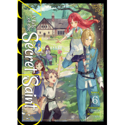 A TALE OF THE SECRET SAINT ZERO (LIGHT NOVEL) VOL. 6