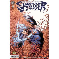 TEENAGE MUTANT NINJA TURTLES: SHREDDER 14 VARIANT C (ROBSON)
