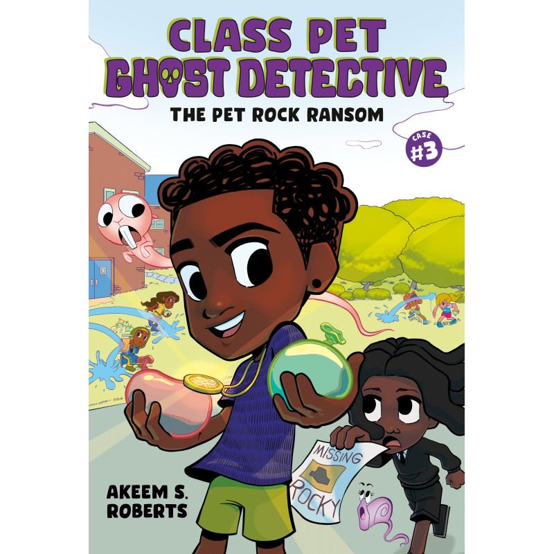 THE PET ROCK RANSOM: A GRAPHIC NOVEL