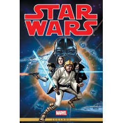 STAR WARS: THE ORIGINAL MARVEL YEARS OMNIBUS VOL. 1 GREG HILDEBRANDT COVER NEW PRINTING, DM ONLY