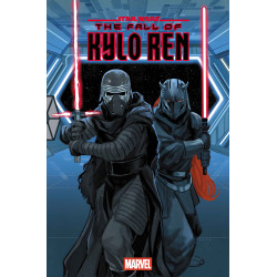 STAR WARS: THE FALL OF KYLO REN 2