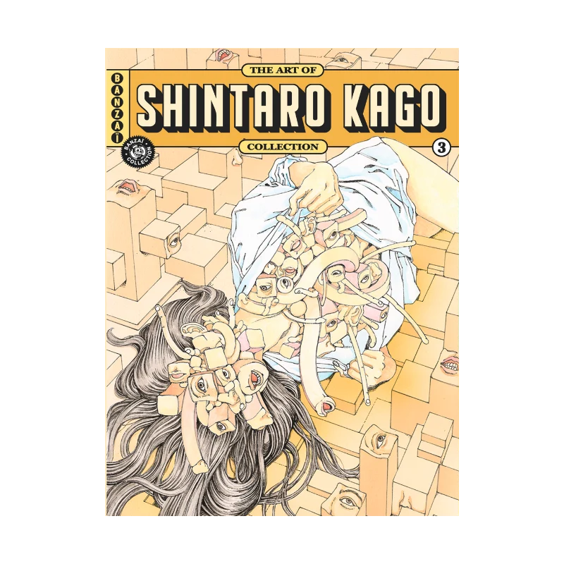 THE ART OF 3 SHINTARO KAGO