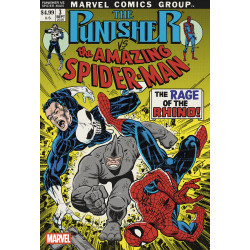 PUNISHER VS. SPIDER-MAN 3 ERIK LARSEN VARIANT