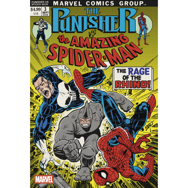 PUNISHER VS. SPIDER-MAN 3 ERIK LARSEN VARIANT