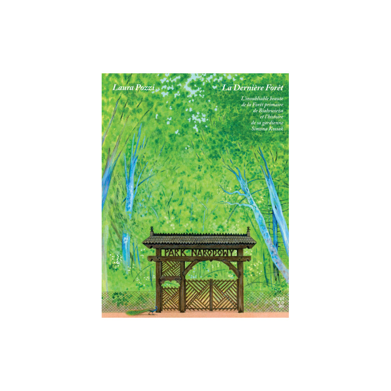 LA DERNIERE FORET L'INOUBLIABLE BEAUTE DE LA FORET PRIMAIRE DE BIAOWIEZA