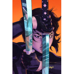ABSOLUTE CATWOMAN 6 (OF 6) CVR B JAVIER FERNANDEZ CARD STOCK VAR