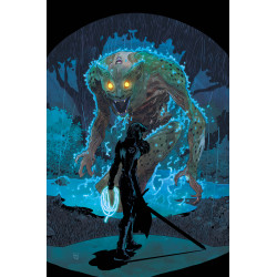 ABSOLUTE WONDER WOMAN 27 CVR A HAYDEN SHERMAN
