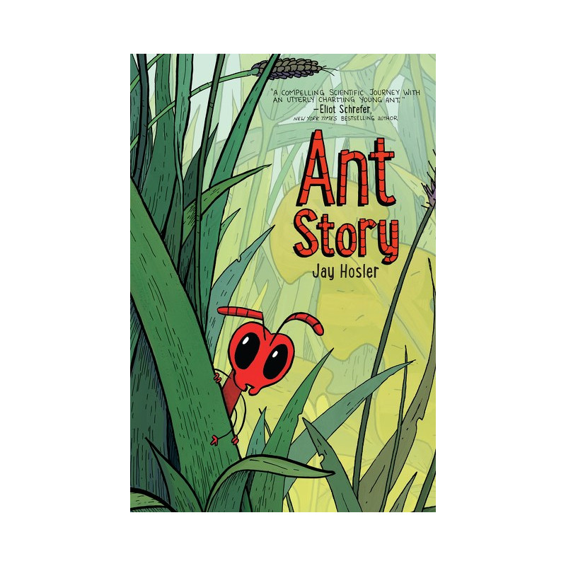 ANT STORY TP