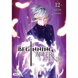 BEGINNING AFTER THE END TP VOL 12