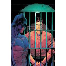 DETECTIVE COMICS 1116 CVR A MIKEL JANIN
