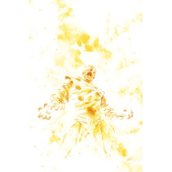 FURY OF FIRESTORM 9 (OF 9) CVR A RAFAEL DE LATORRE