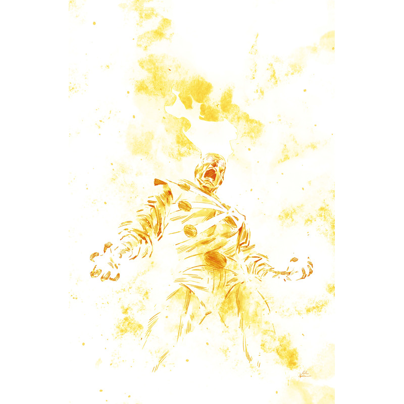 FURY OF FIRESTORM 9 (OF 9) CVR A RAFAEL DE LATORRE