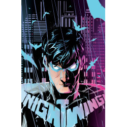 NIGHTWING 145 CVR B RILEY ROSSMO CARD STOCK VAR