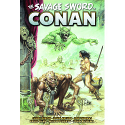 SAVAGE SWORD OF CONAN THE ORIGINAL COMICS OMNIBUS HC VOL 13 DIRECT MARKET EDITION EARL NOREM CVR (MR)