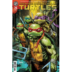 TEENAGE MUTANT NINJA TURTLES 25 VARIANT C (PANOSIAN)