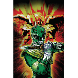 POWER RANGERS GREEN 5 D FOIL VARIANT (FULL ART, HARRIS)