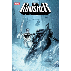 PUNISHER 12 COVER A