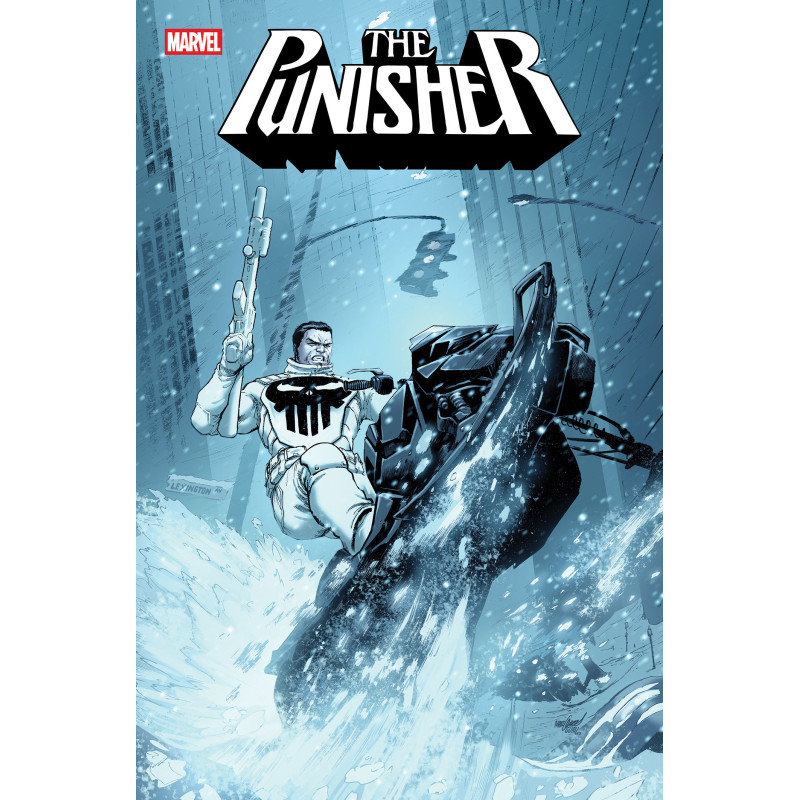 PUNISHER 12 COVER A