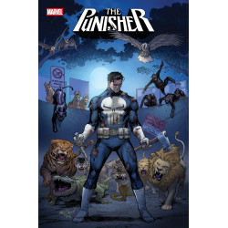 PUNISHER 11 COVER A