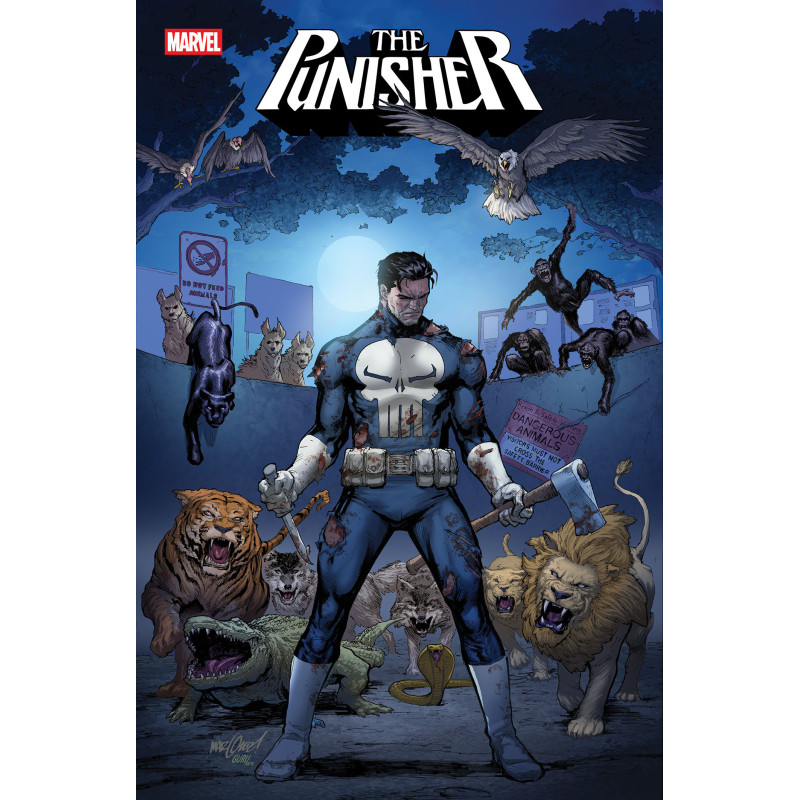 PUNISHER 11 COVER A