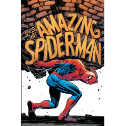 AMAZING SPIDER-MAN VOL. 5: DAMAGE CONTROL