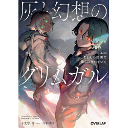 GRIMGAR OF FANTASY AND ASH (LIGHT NOVEL) VOL. 22