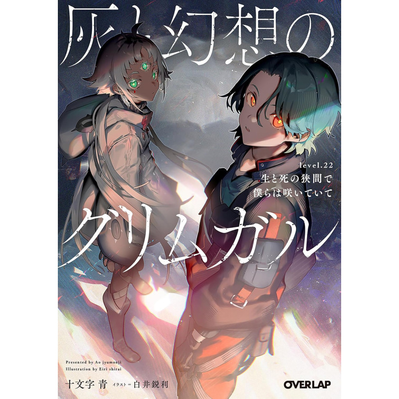 GRIMGAR OF FANTASY AND ASH (LIGHT NOVEL) VOL. 22