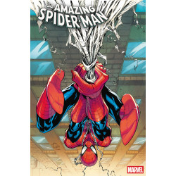 AMAZING SPIDER-MAN 1006