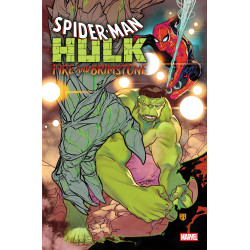 SPIDER-MAN/HULK: FIRE AND BRIMSTONE 5