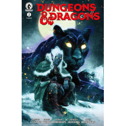 DUNGEONS & DRAGONS 2 (CVR B) (SEBASTIAN FIUMARA)