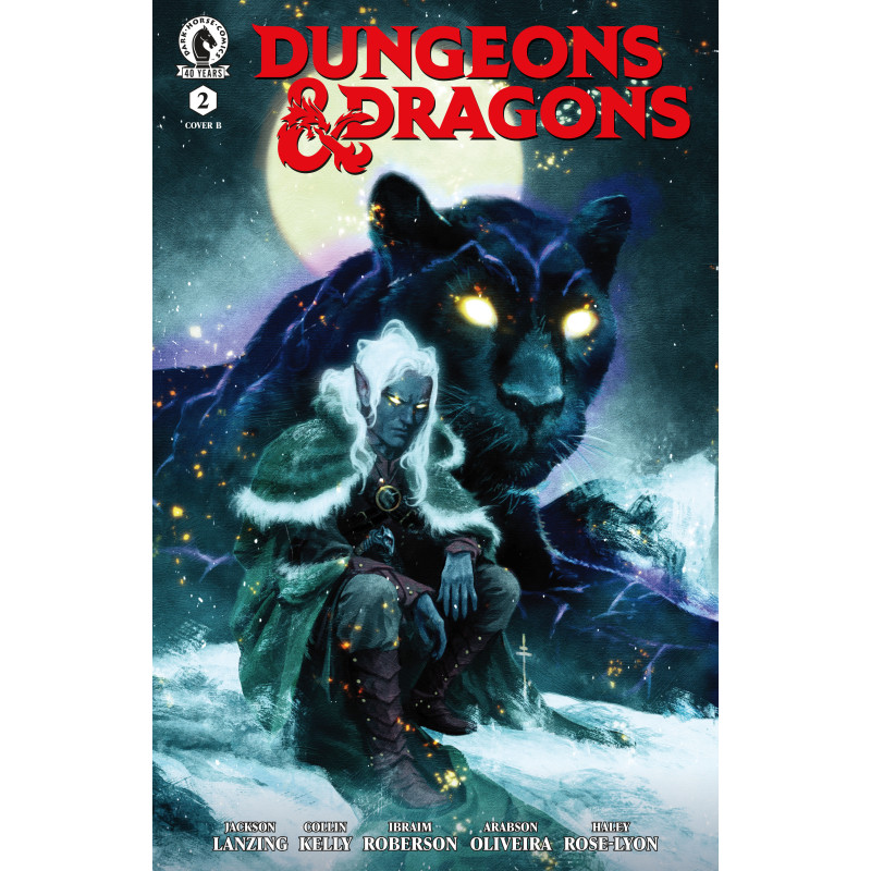 DUNGEONS & DRAGONS 2 (CVR B) (SEBASTIAN FIUMARA)