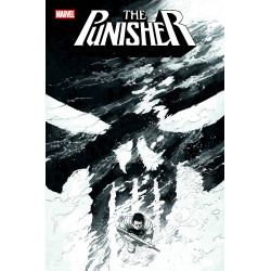 PUNISHER 12 COVER B DECLAN SHALVEY VARIANT