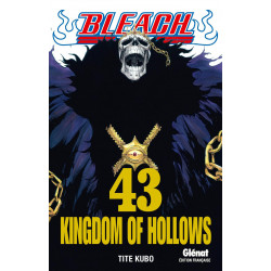 BLEACH - TOME 43