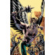 HAWKMAN 1