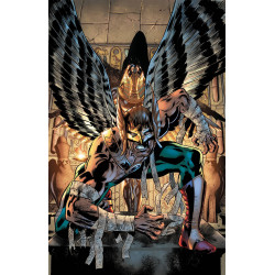 HAWKMAN 2